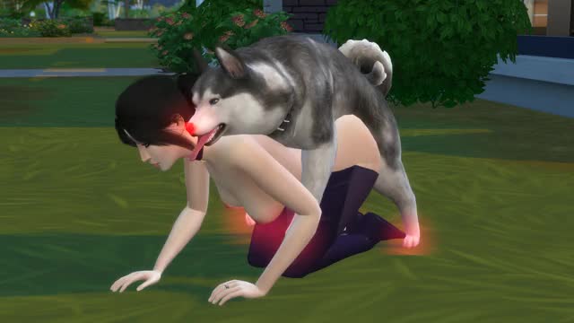 Sims 4