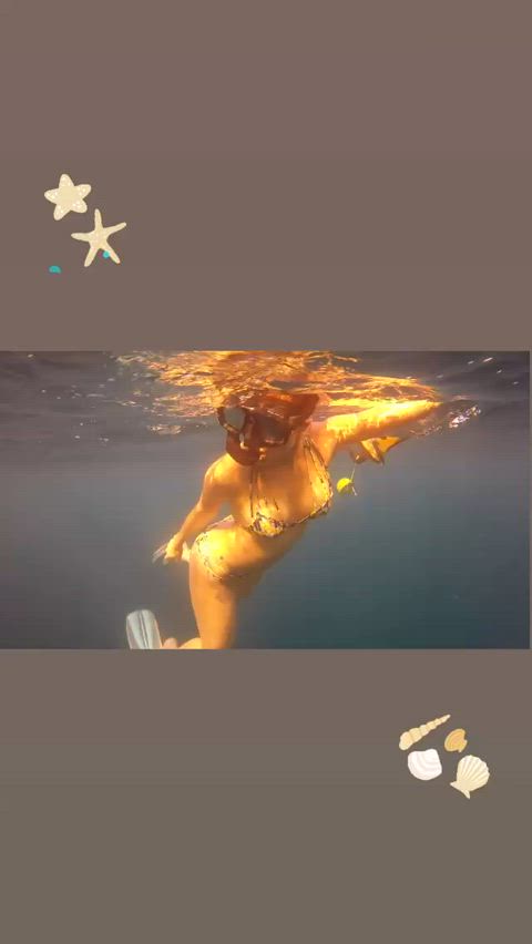 bikini desi goddess hindi indian pool swimming pool swimsuit gif