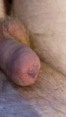 cum precum small dick gif