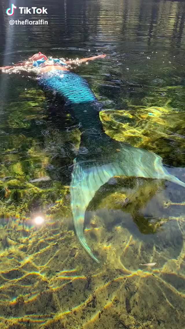  #mermaid #fantasy #cool #underwater #babe #girlswhofreedive #happy #halsey