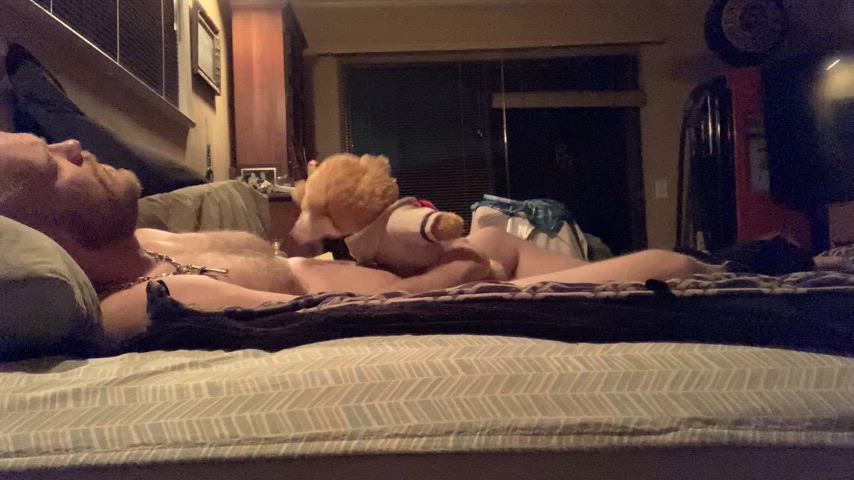 male masturbation masturbating pillow humping stuffie humping awc cock-and-face gif