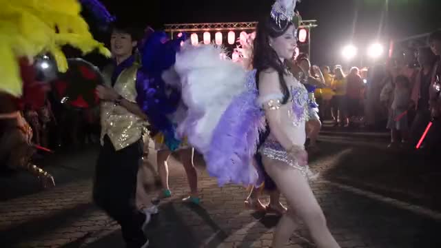 Samba サンバ 東京学芸大学ラテンアメリカ研究会 ?? ウニアン2014