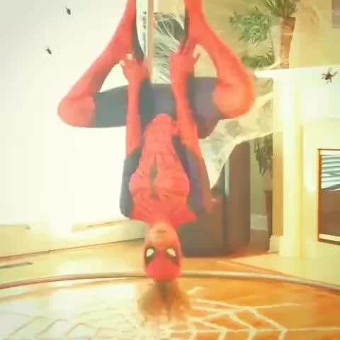 Spider booty