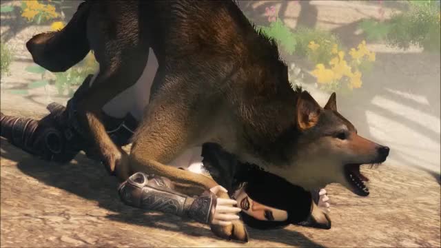 wolf2