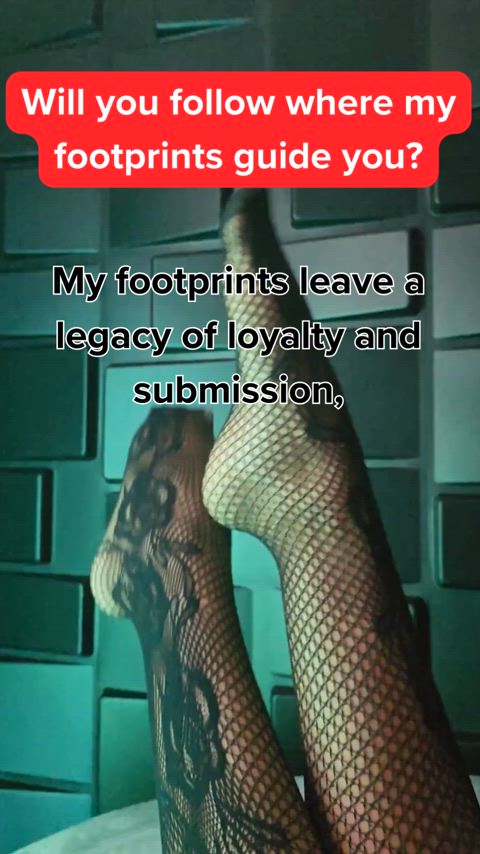 Follow My Lead: Ready to Submit?