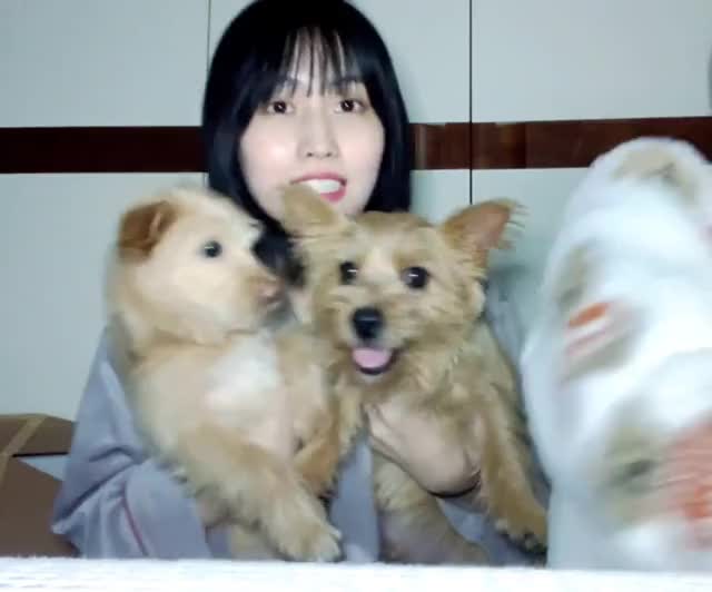 Momo said Dobby(Dobyy) really likes Boo. It might be one sided - 210120