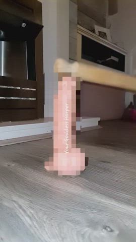 cbt femdom findom gif