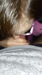 Amateur Blowjob Cum Cum In Mouth Cum Swallow Public Sucking Swallowing Wife gif