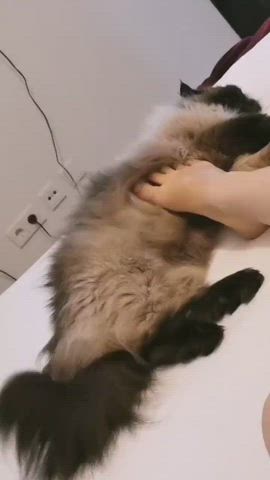 feet foot hairy gif