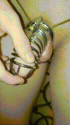 Chastity Femboy Sissy gif