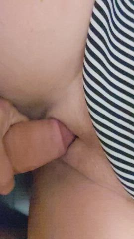 bbw chubby pussy lips teasing thick cock tight pussy gif