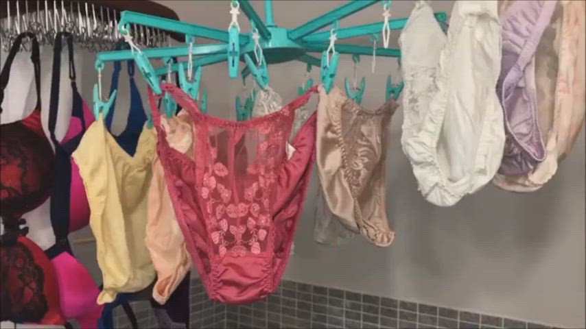 Bra Fetish Lingerie Panties Thong Underwear gif