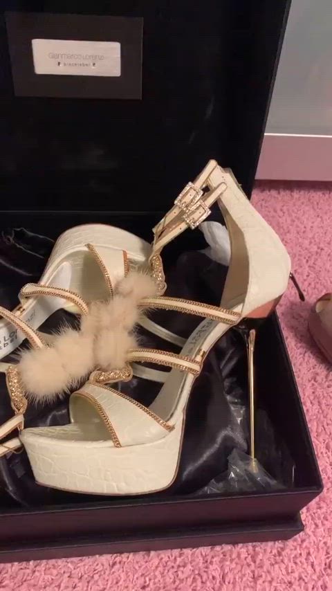 high heels shoe shoes gif