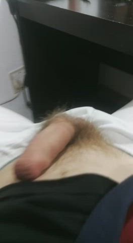 Horny Hostel Big Dick Hardcore gif