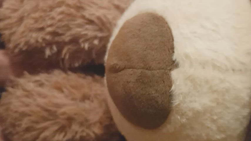 bear sex toy gif