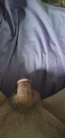 Bed Sex Cock Pee Peeing Penis Wet gif