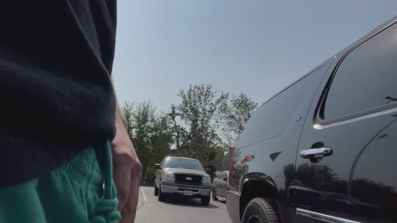 Flashing my big cock in the parking lot!