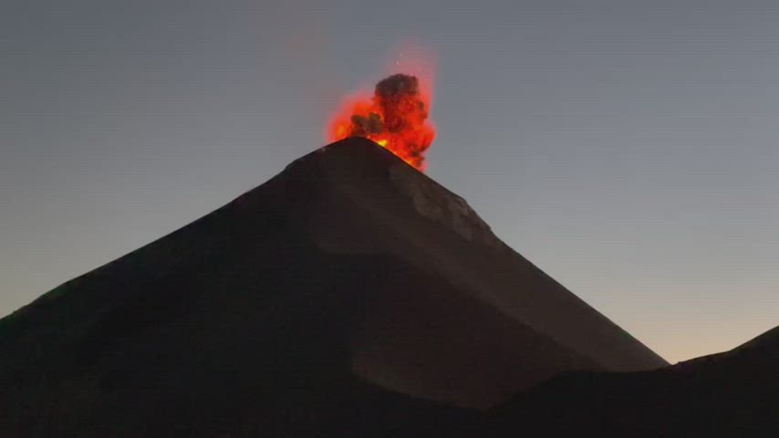 The single most unbelievable thing we have ever seen 🔥🤯 nature in its FULL