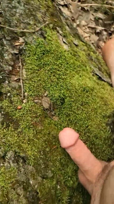 Rubbing on the soft moss [40]ish