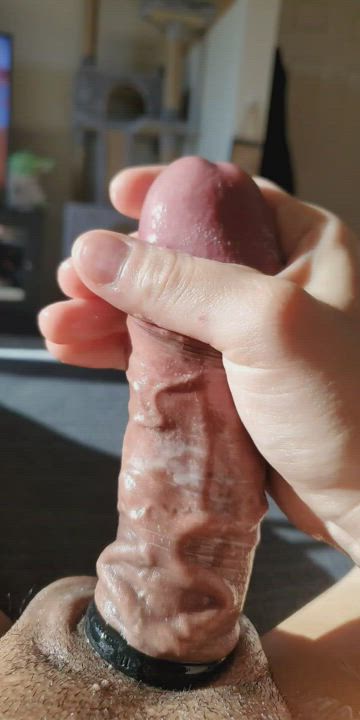 [26] [Dick Pic] Where do you want my cum?