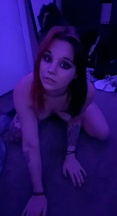 Alt Emo Kitten Kitty Kitty Core PetPlay Piercing Short Hair Slave Small Nipples