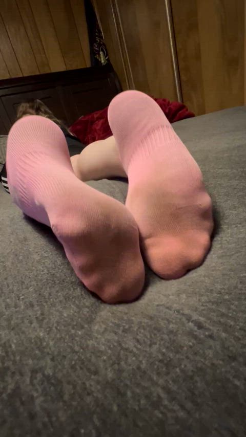 Sweaty smelly pink ankle socks ready for sniffing. 