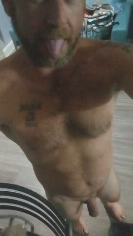 bull cock daddy hairy solo gif