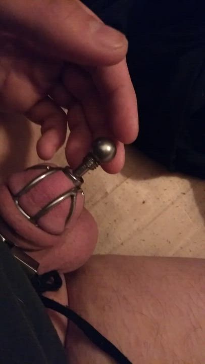 Chastity Clit Sissy Slave gif