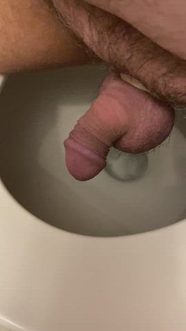 exposed gay pee peeing penis piss pissing toilet watersports gif