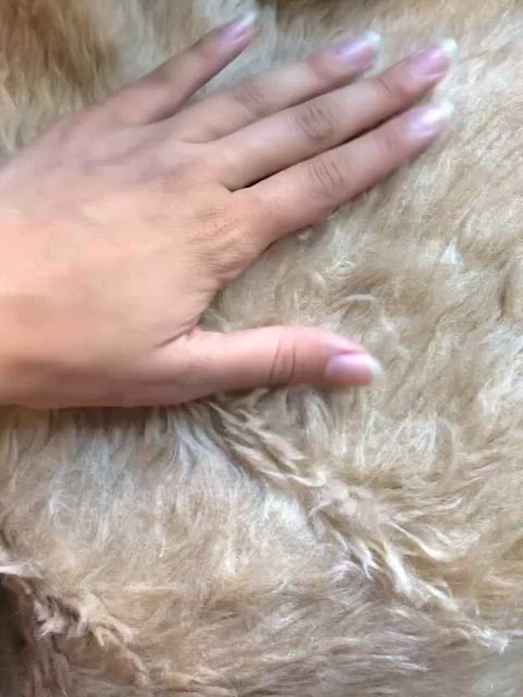 fetish nails hands tik-tok gif