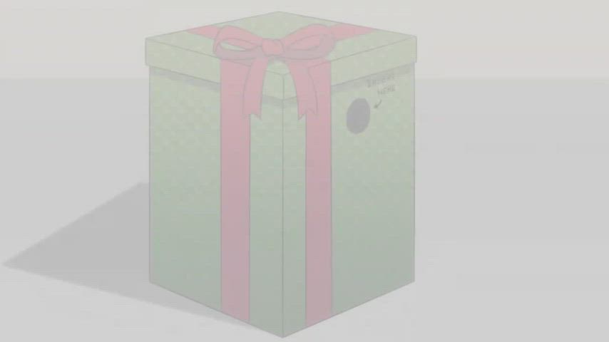The perfect present (Kamuo)