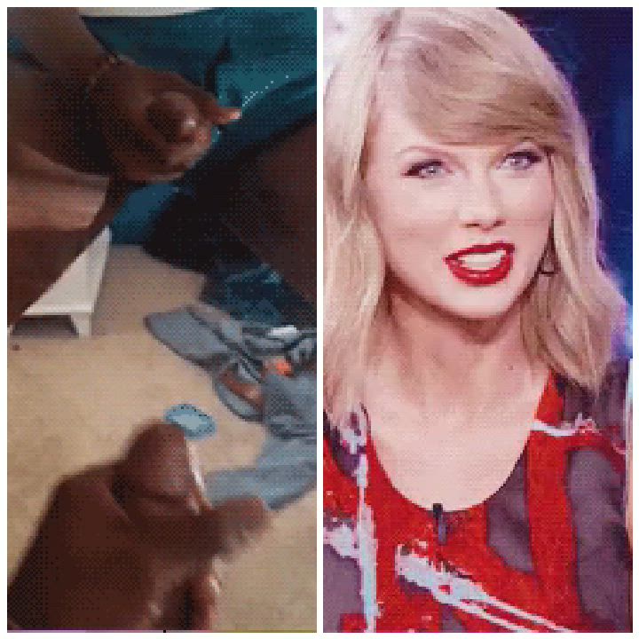 BBC BabeCock Celebrity Cum Cumshot Taylor Swift gif