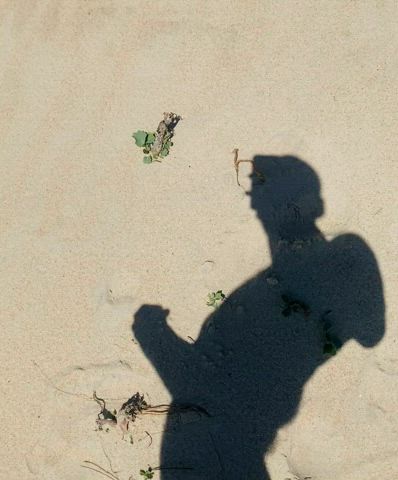 Hoje foi até a praia 🏝️