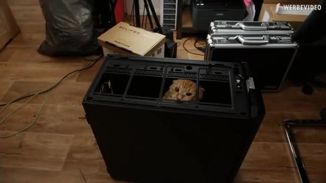 new case being inspected by the boss