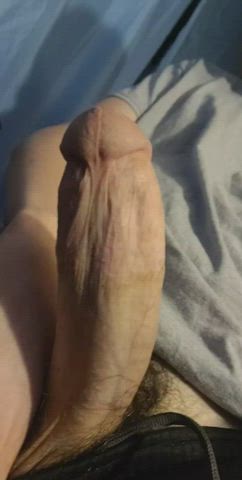 thick cock is everyones fav.. which hole should i ruin?