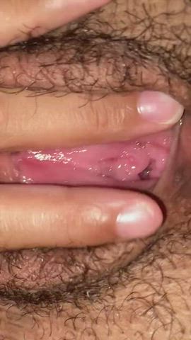 hairy pussy pussy pussy lips pussy spread gif
