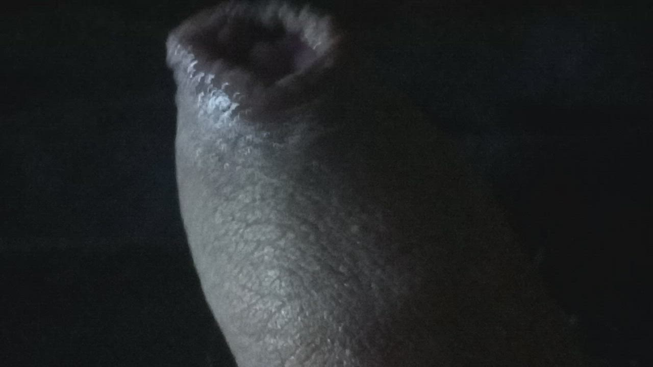 cock foreskin male masturbation penis gif