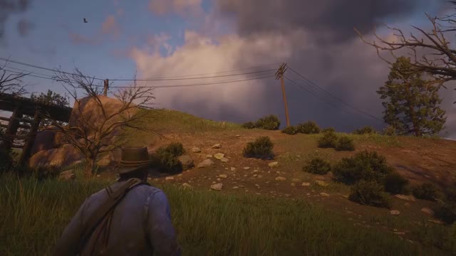 20 INSANE Details in Red Dead Redemption 2 (Part 4)