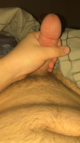 cumshot hairy cock hairy pussy belly gif