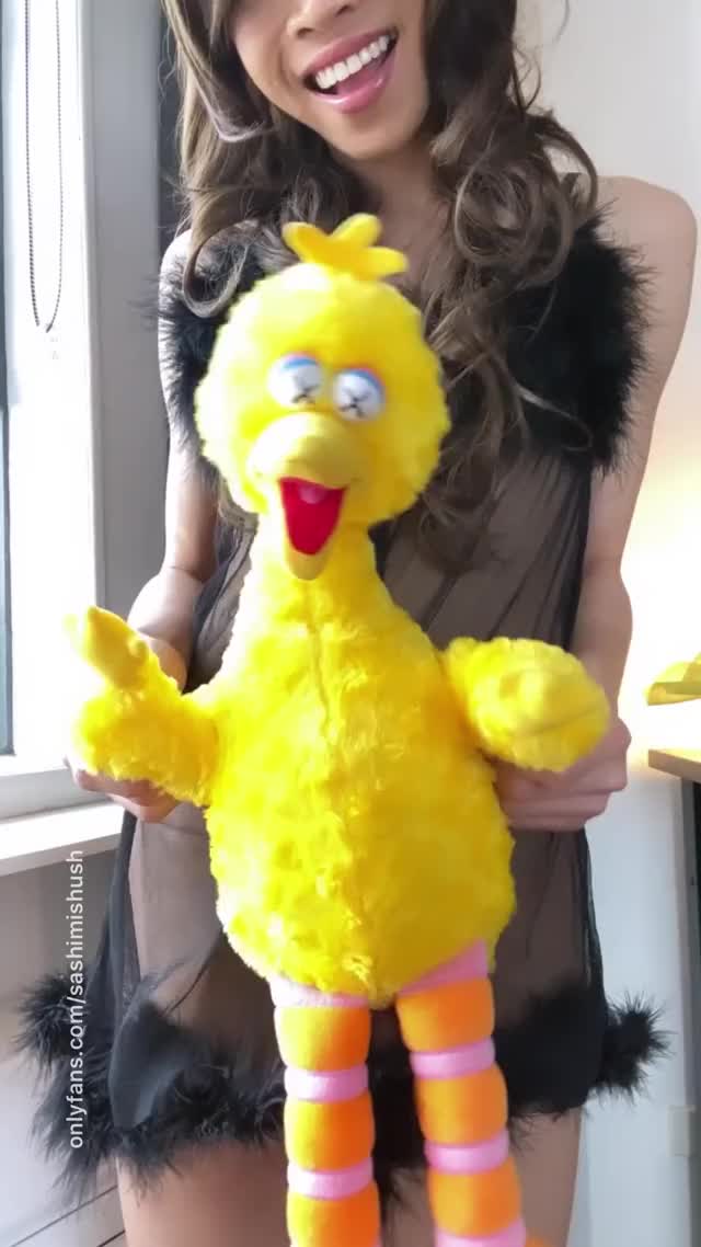 Big bird says hello. Say it back. ?