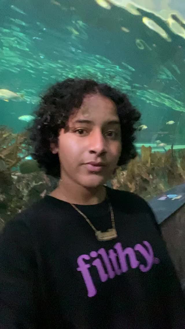 Aquarium flashing