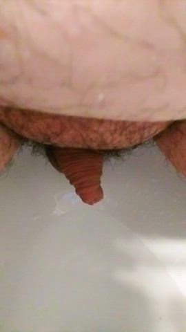 chubby fetish girl dick hairy pee peeing piss pissing toilet trans gif
