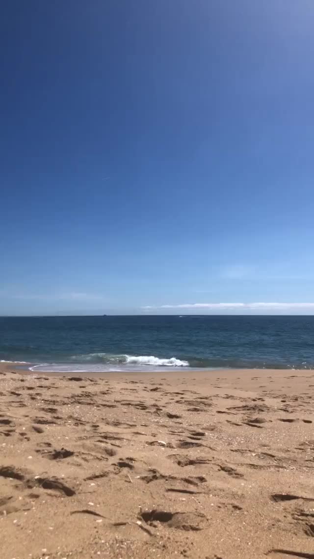 I hope the cute boys just down the beach got a peak [GIF]