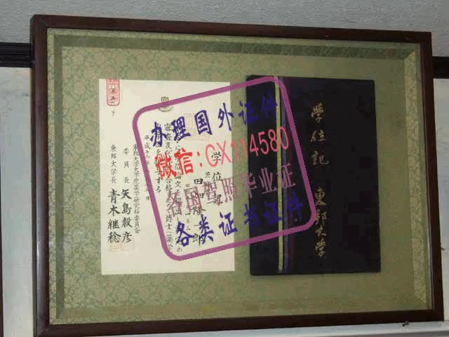 日本东邦大学毕业证办理（WeChat微：CX114580）