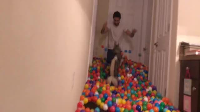 Balls gif