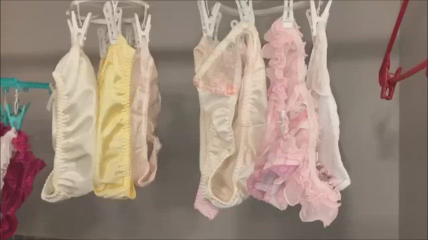 Bra Lingerie Panties Thong Underwear gif