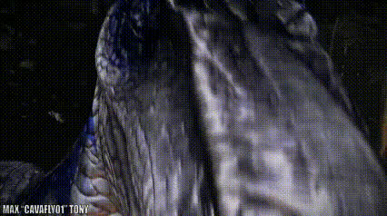 animation cock nsfw pov gif