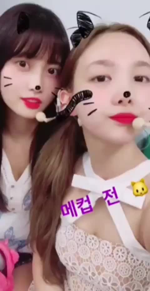 Nayeon and Momo