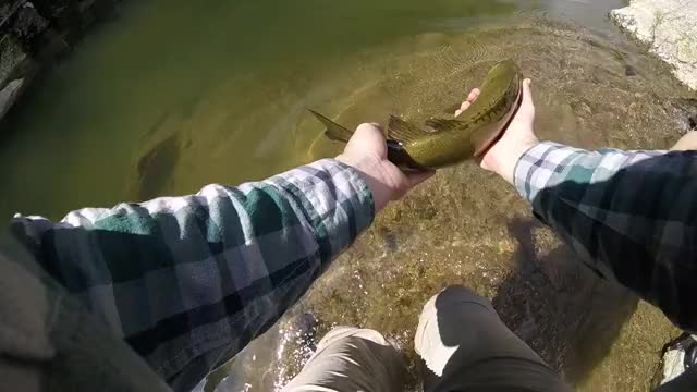 Big smallie release