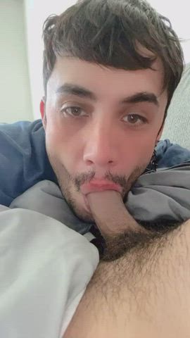 Big Dick Blowjob Cock Worship Deepthroat Gay Hairy Cock Oral Teen gif